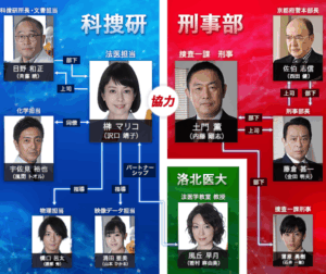 科捜研の女相関図